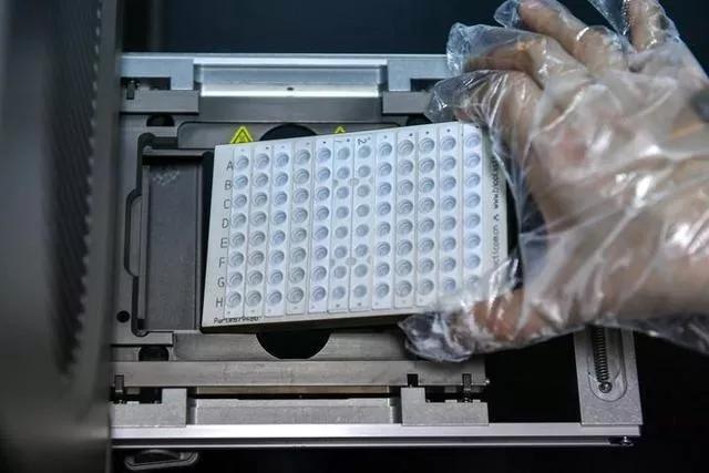 新冠檢測(cè)PCR
