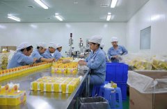 食品凈化車間設(shè)計(jì)的基本常識