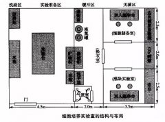 細胞實驗室建設，你必須知道的5件事