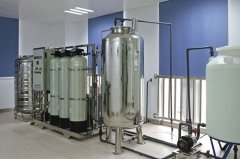 實(shí)驗(yàn)室要定制純水系統(tǒng)，推薦個(gè)廣州的公司
